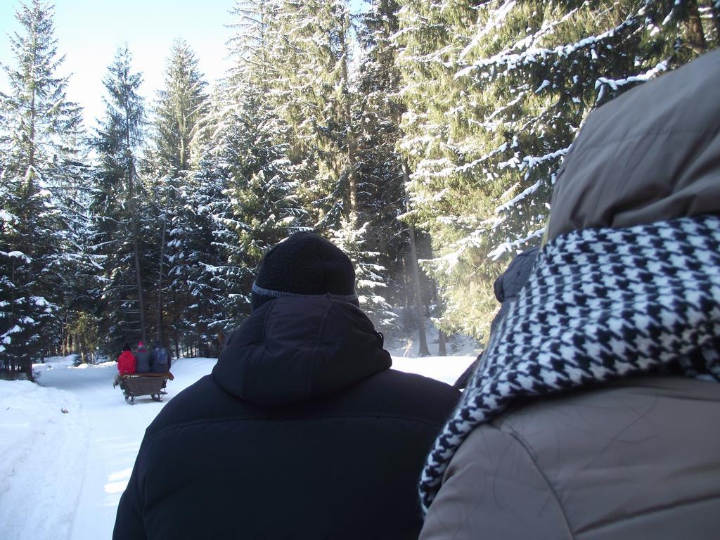Cabana Piatra Runcului Vatra Moldovitei Luaran gambar