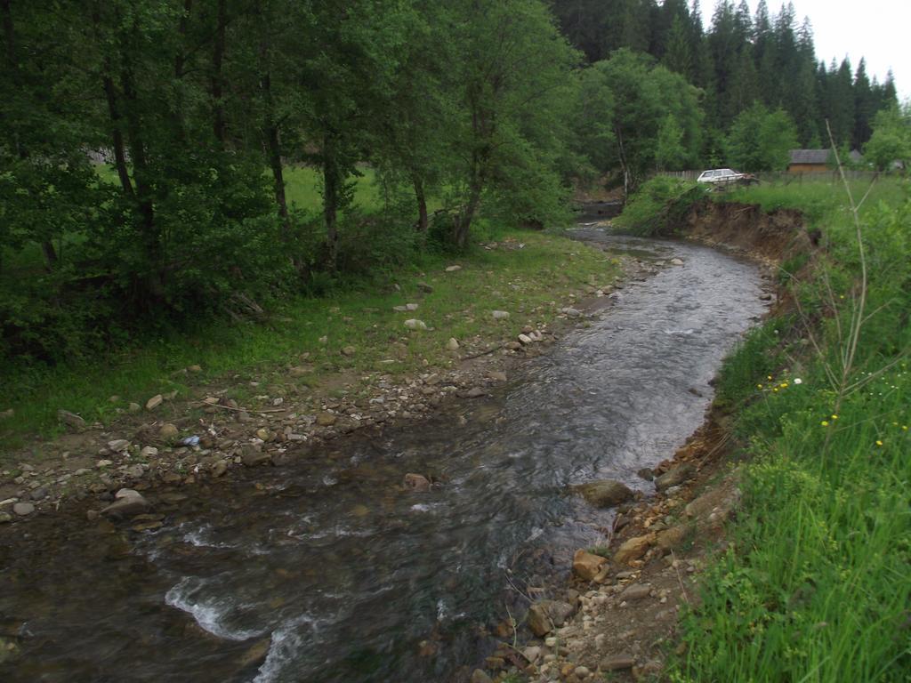Cabana Piatra Runcului Vatra Moldovitei Luaran gambar