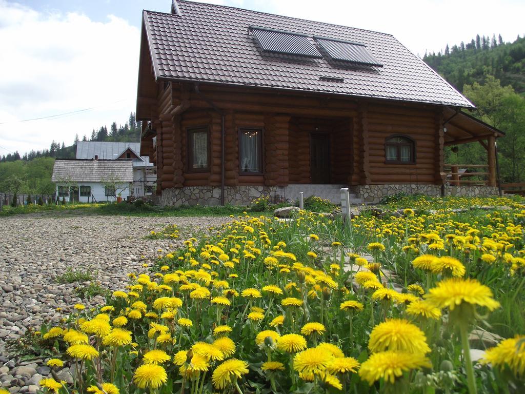 Cabana Piatra Runcului Vatra Moldovitei Luaran gambar