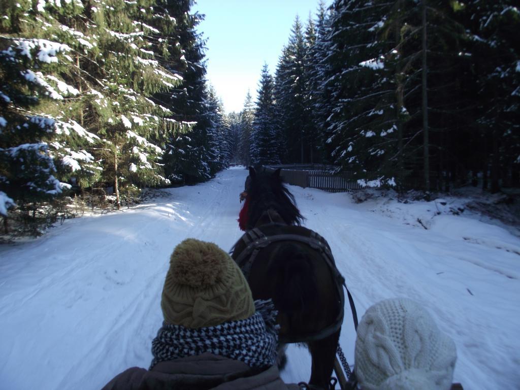 Cabana Piatra Runcului Vatra Moldovitei Luaran gambar