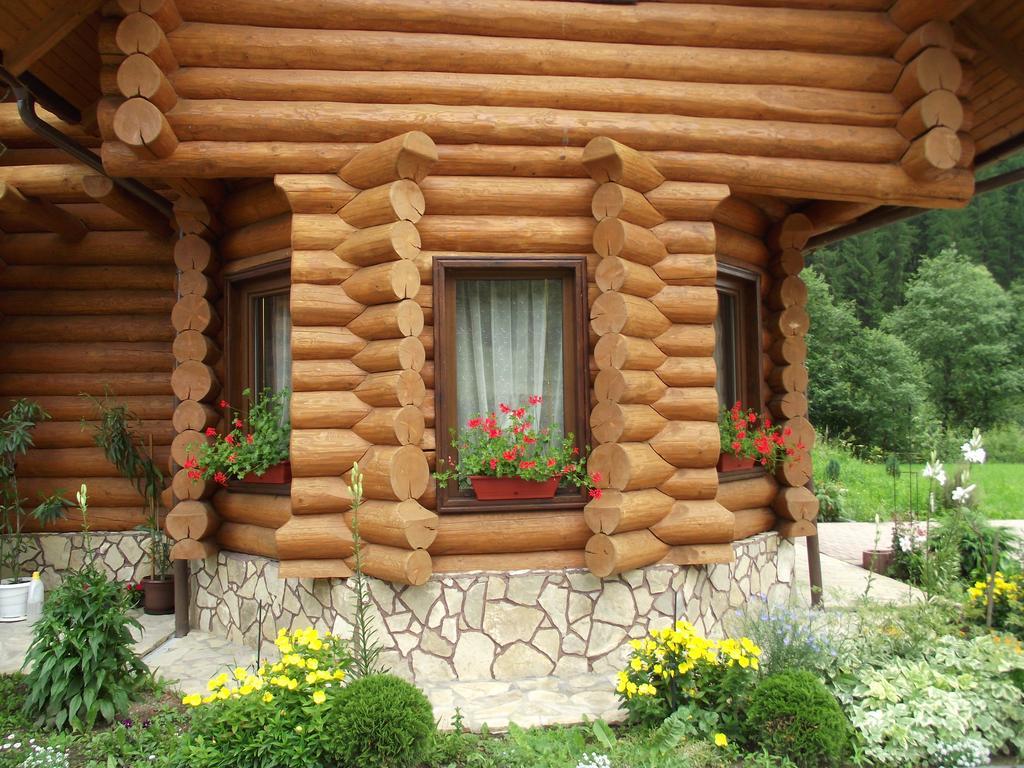 Cabana Piatra Runcului Vatra Moldovitei Luaran gambar