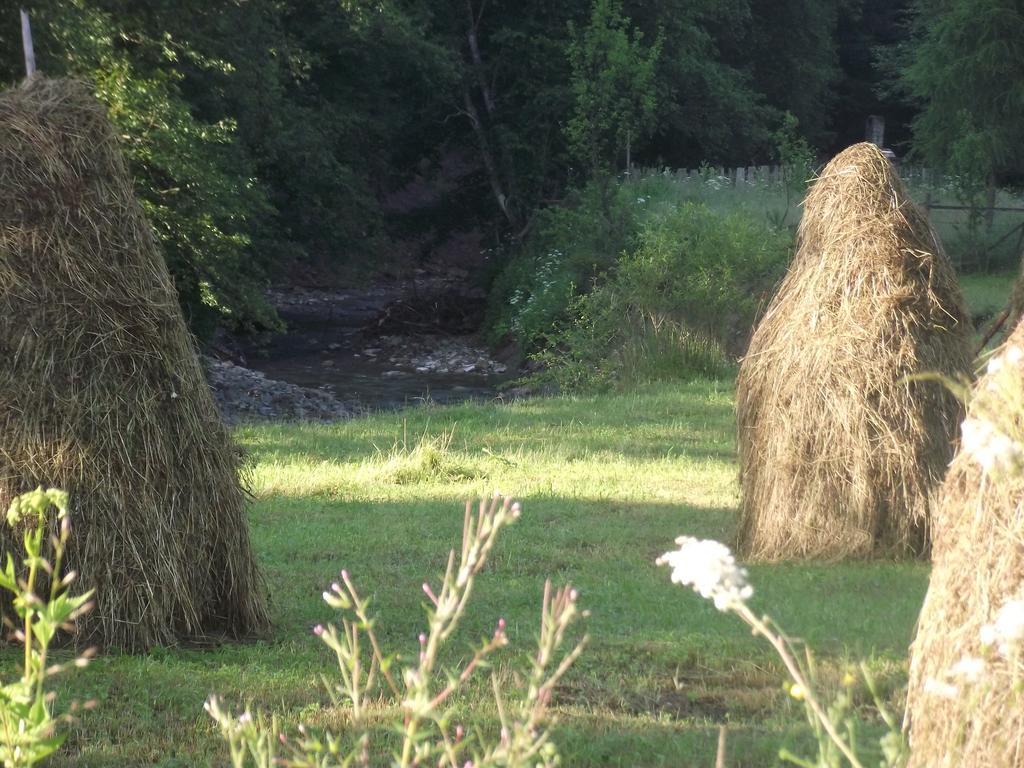 Cabana Piatra Runcului Vatra Moldovitei Luaran gambar
