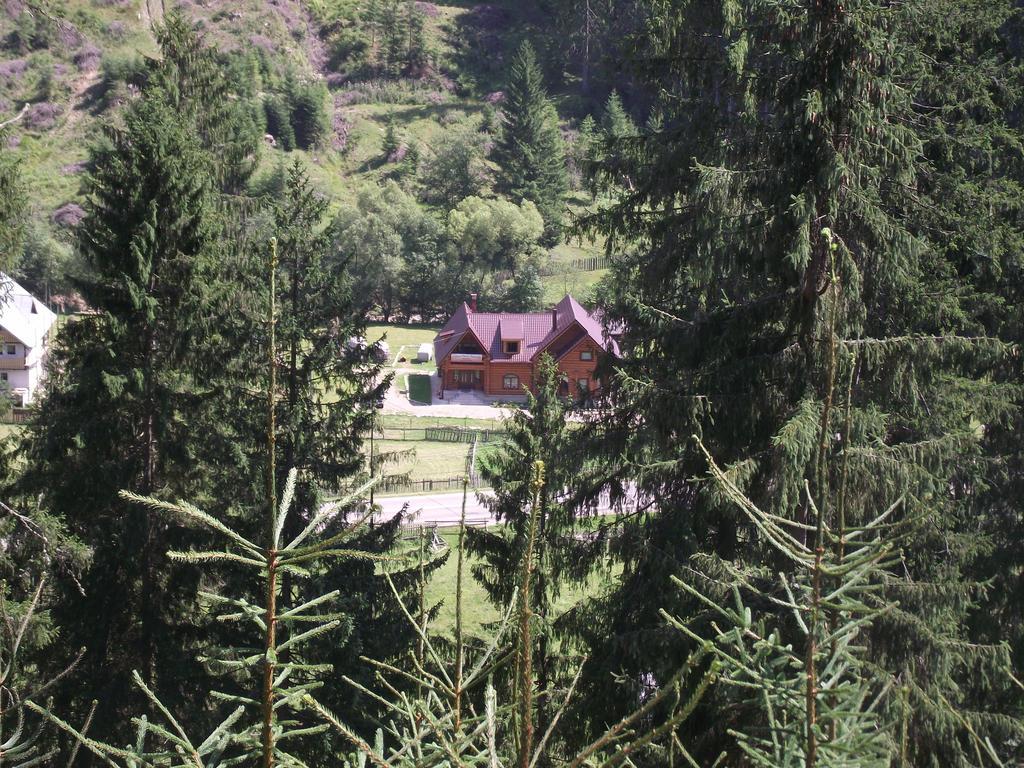 Cabana Piatra Runcului Vatra Moldovitei Luaran gambar